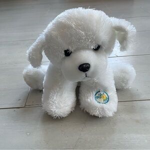 Color Kinetics Glow E Changing Colors White Dog